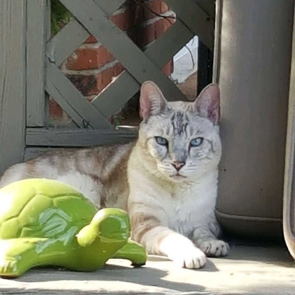 Meet your Posher, Jennifer